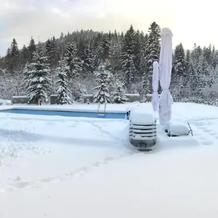Chalet Venterivka Tatariv